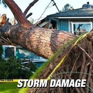 Storm Damage Insurance Attorney