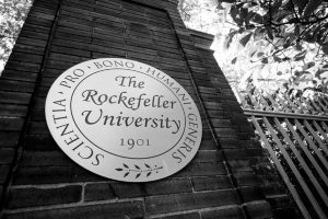 Rockefeller University Lawsuit Attorney 3 (1)