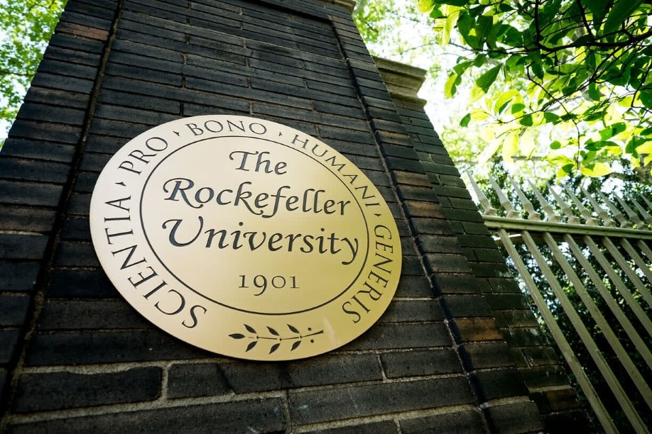 Rockefeller University Lawsuit Attorney
